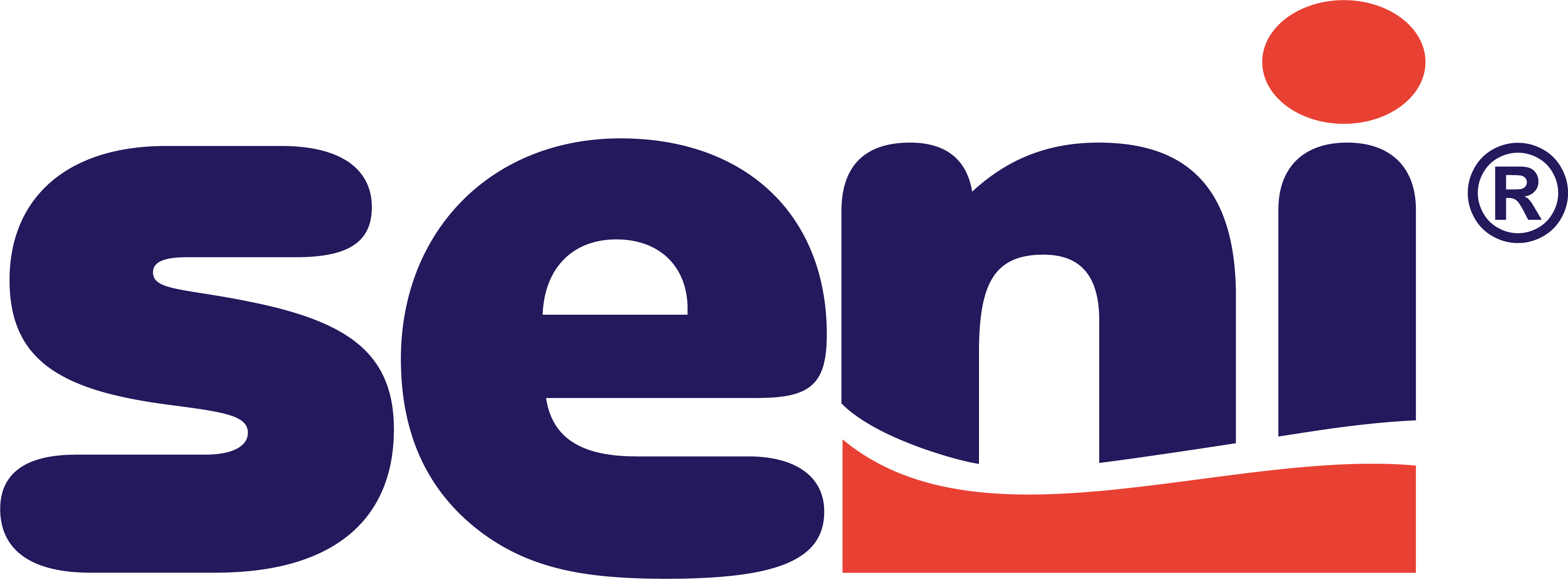 seni-logo seni-logo